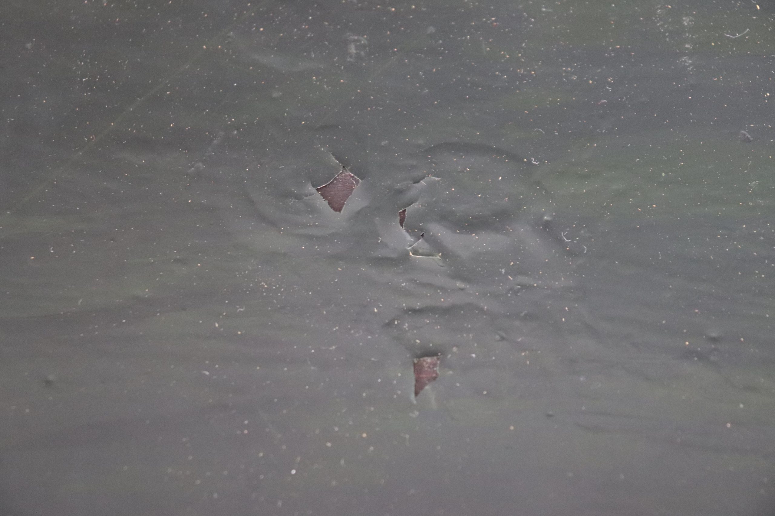 Vintage Paint Decorated Demilune Servers: Mid Century Console Tables, Pair - Image 10