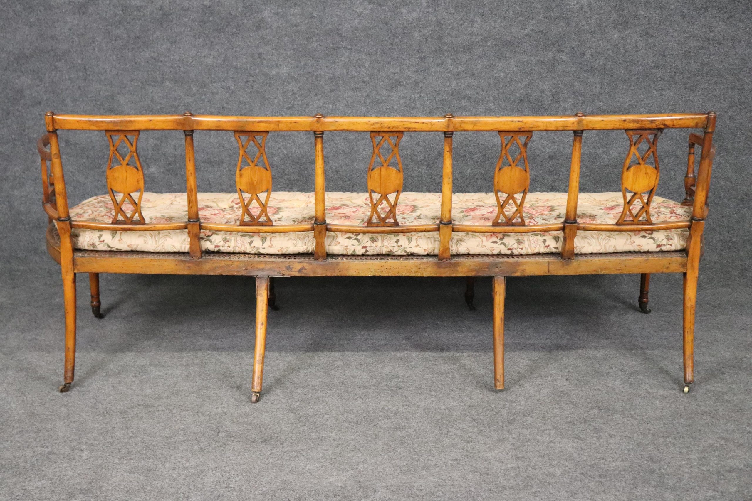 19th Century English Adams Style Paint Decorated Settee with Cane Seat, Sofa - Image 5