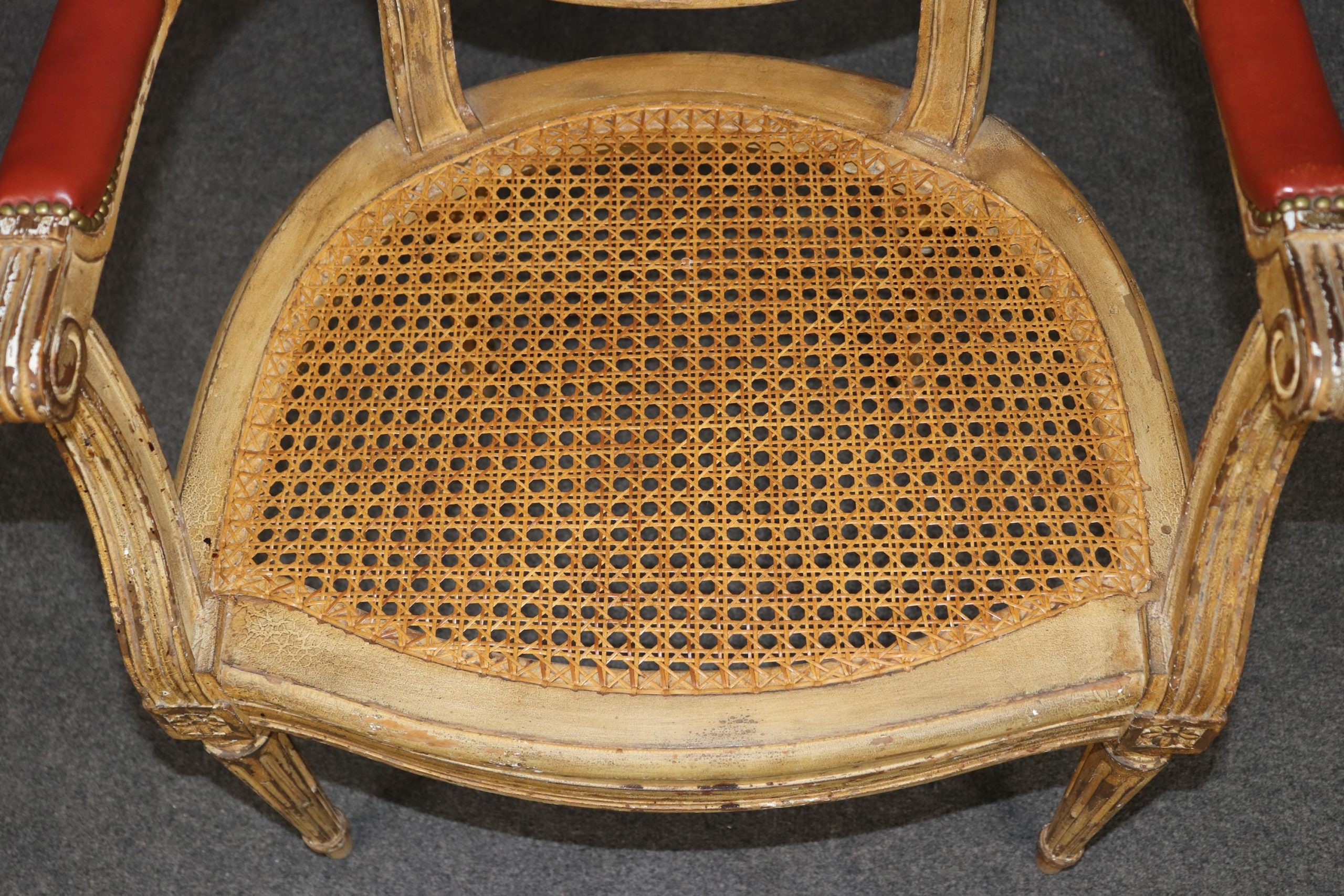 Set of 10 Vintage Louis XVI Style Cane Leather Upholstered Dining Room Chairs, Conference Room Chairs - Image 9